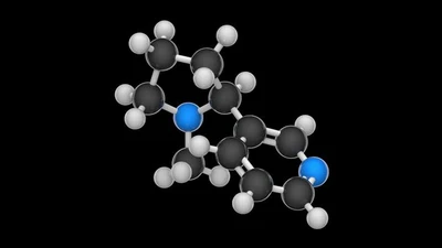 尼古丁(分子式:c10h14n2)是有毒生物碱化学结构模型:球和棒3d渲染